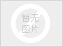 游武汉三镇